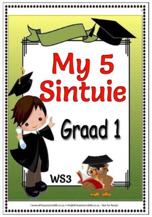 Graad 1 PDF - My 5 Sintuie â€“ Woorde, Lees en Begrip + Vrae Oefening (8 blaaie)
