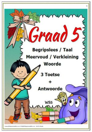 Graad 5 - Begripslees, Taal, Meervoud, Verkleining 3 Toetse + Antwoorde (10 Blaaie)