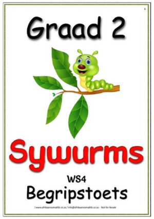 Graad 2 Begripstoets â€“ Sywurms, Vrae en Memo