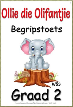 Graad 2 Begripstoets â€“ Ollie die Olifantjie, Vrae en Memo