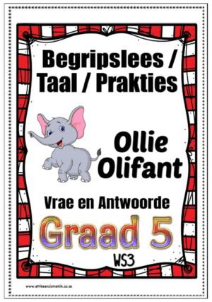 Graad 5 - Begripslees, Taal en Prakties Met Memo