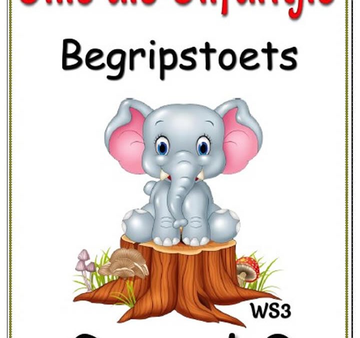 Afrikaans in Graad 2: woordbou en die eerste regte begripstoetse