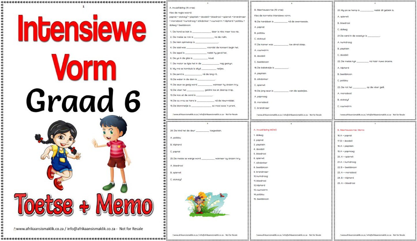 Graad 6 Intensiewe Vorm 2 Toetse + Memo