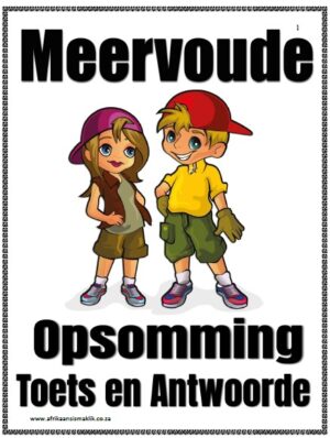 Graad 1-7 Meervoude - Opsomming, Woorde, en Toets